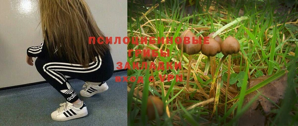 сатива Алексеевка
