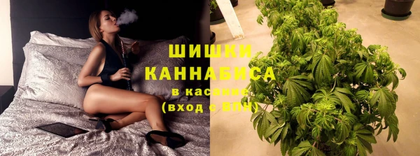 сатива Алексеевка