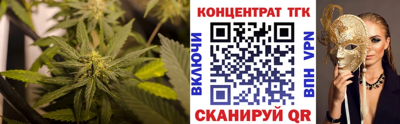 Купить закладки  Гаврилов-Ям  Дистиллят ТГК гашишное масло 