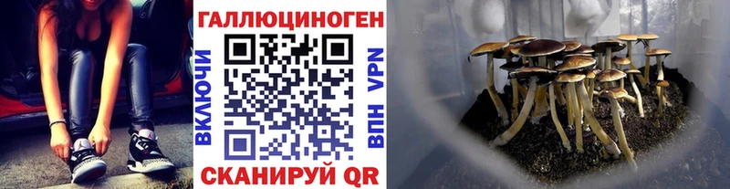 Галлюциногенные грибы MAGIC MUSHROOMS  Купить где  Гаврилов-Ям 
