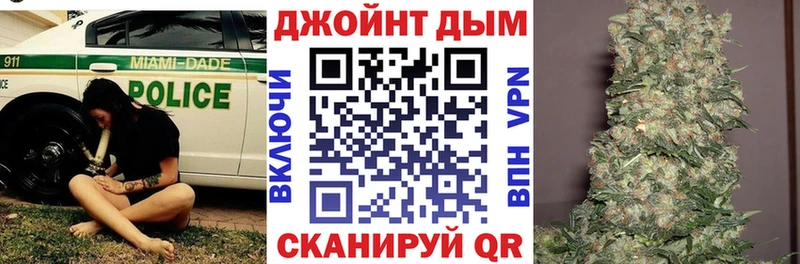 Купить где  Гаврилов-Ям  Конопля гибрид 